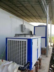 遂寧回馬速凍蘿卜冷庫